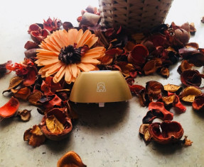 كم عدد جلسات الليزر للوجه؟