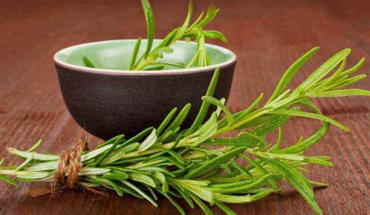 فوائد إكليل الجبل للبشرة و التجميل – أسرار تكشف لأول مرة تعرفي عليها